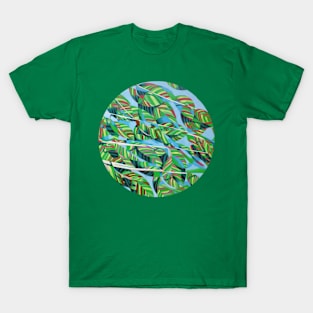 Under the shadow of a tree T-Shirt